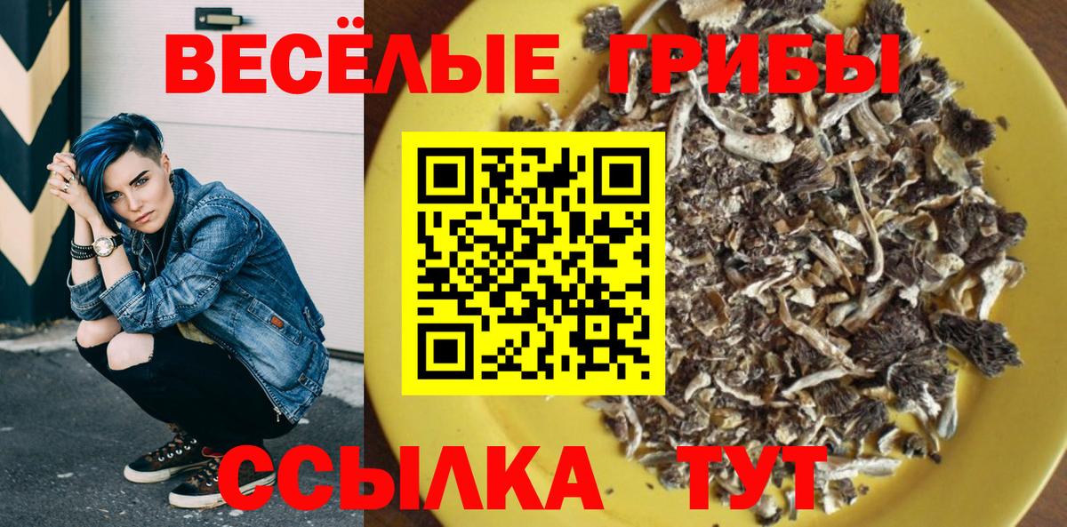 APVP Брянск